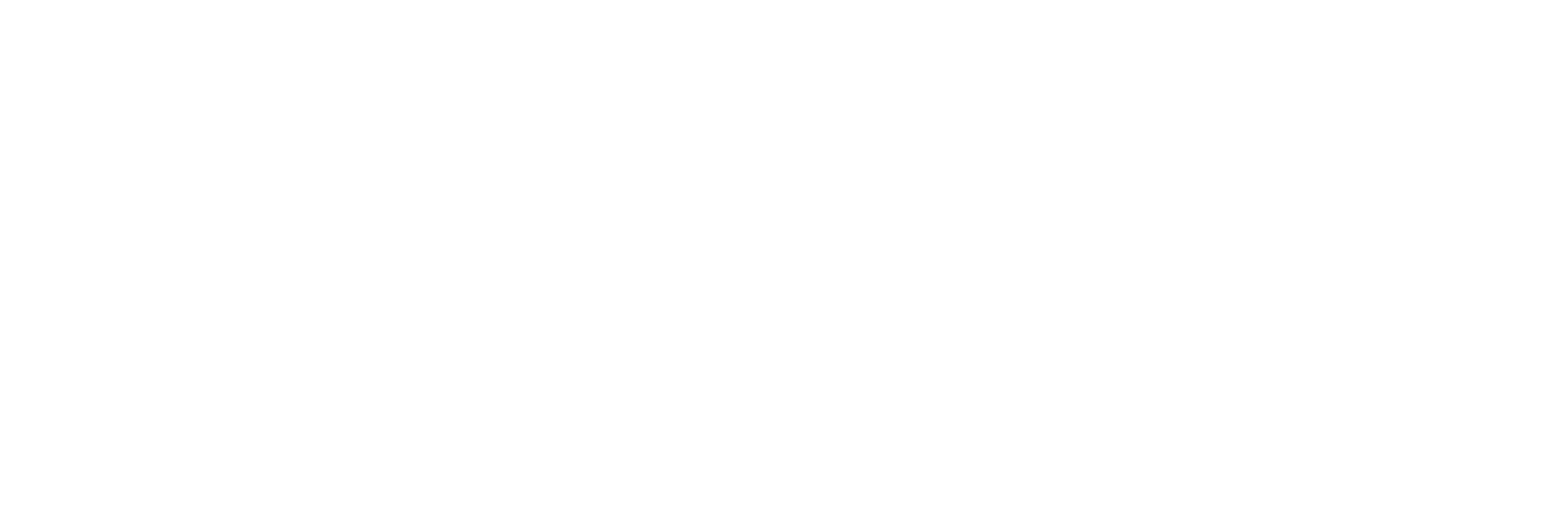 Animotion
